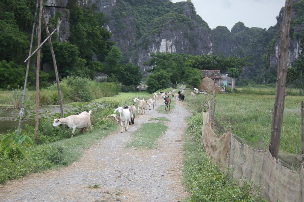 Ninh Binh Valley Homestay Buitenkant foto